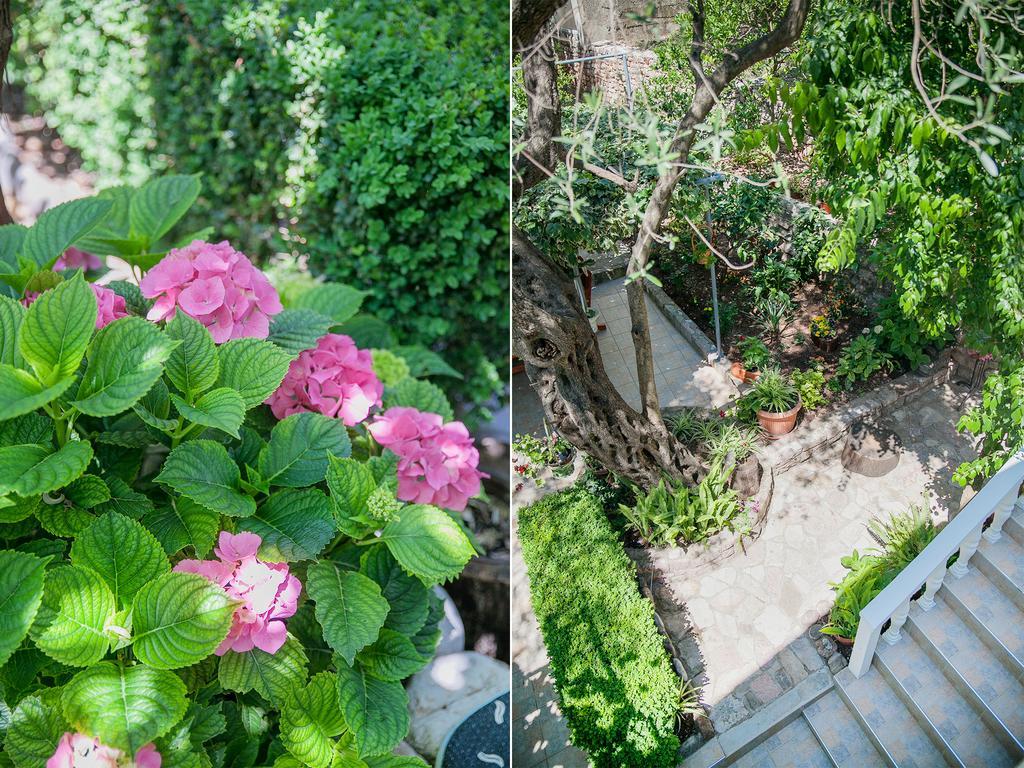 Rooms Garden Petrovac Bagian luar foto