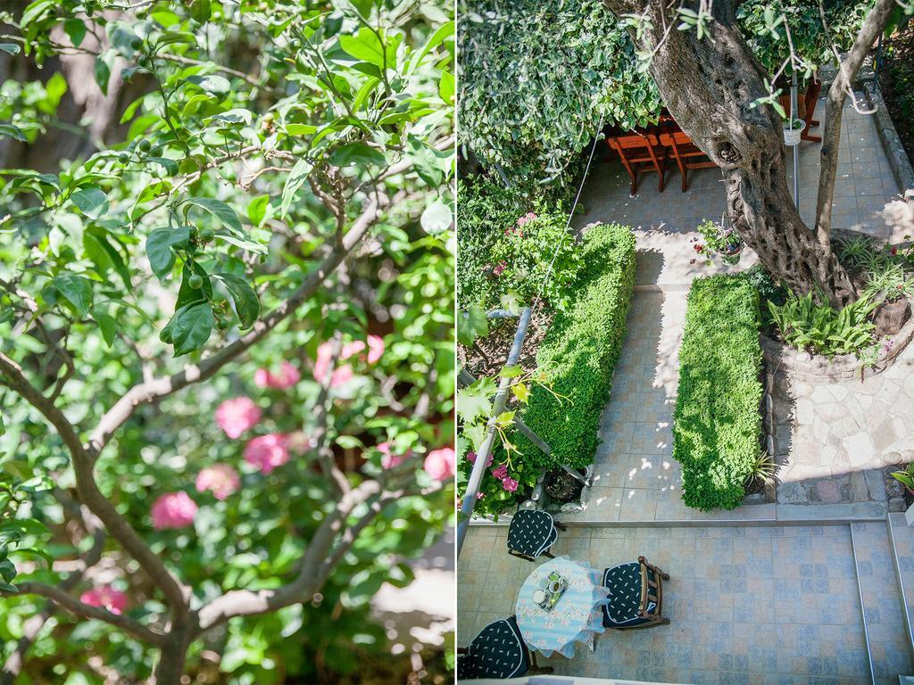 Rooms Garden Petrovac Bagian luar foto