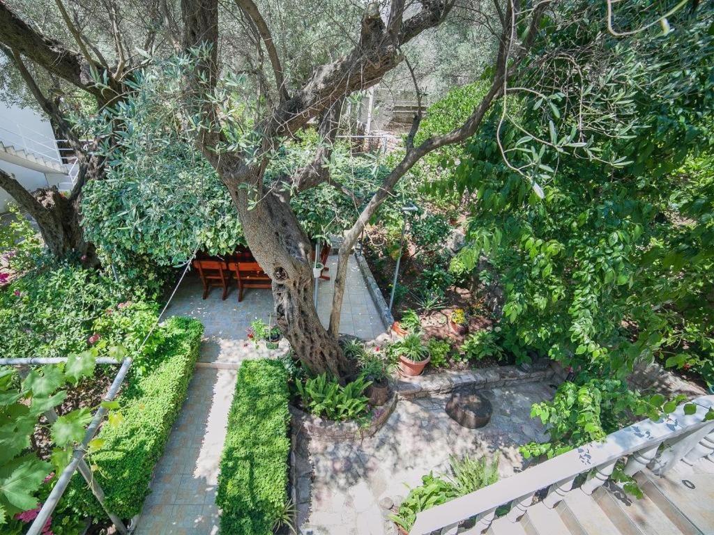 Rooms Garden Petrovac Ruang foto