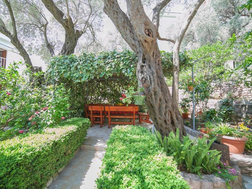 Rooms Garden Petrovac Ruang foto